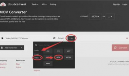 手机视频格式,揭秘多元视觉盛宴背后的技术奥秘