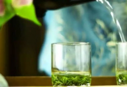 茶叶视频,探寻茶叶视频中的文化韵味与生活美学