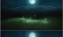 月夜视频,探寻神秘月色下的奇幻世界