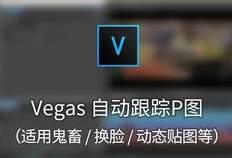 视频可以p图吗,如何从视频中提取与生成图像