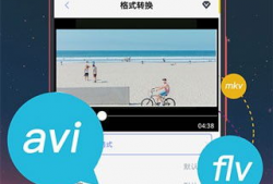 手机视频格式,揭秘多元视觉盛宴背后的技术奥秘