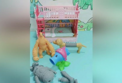 玩具小视频,趣味无限，童趣盎然瞬间回顾